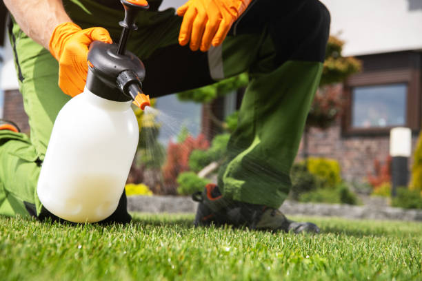 Best Commercial Pest Control Services  in Timber Pines, FL