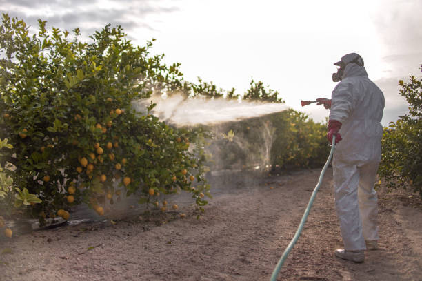 Best Cockroach Control Services  in Timber Pines, FL