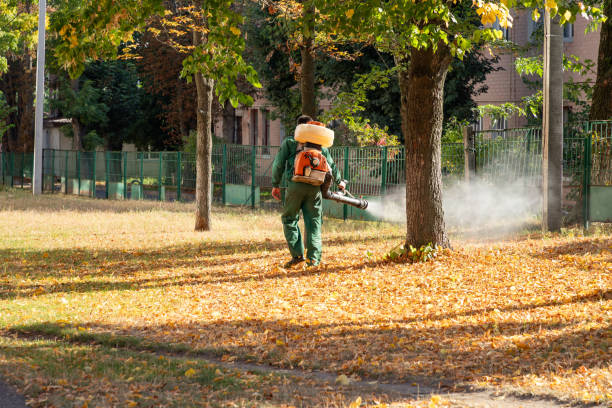Flea Control Services in Timber Pines, FL