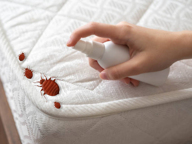 Best Exterminator Services  in Timber Pines, FL