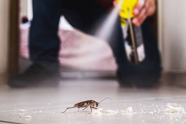 Best Best Pest Control Companies  in Timber Pines, FL