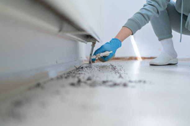 Best Pest Prevention Services  in Timber Pines, FL